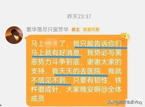 每日最新爆料事件,最新爆料事件深度解析！”